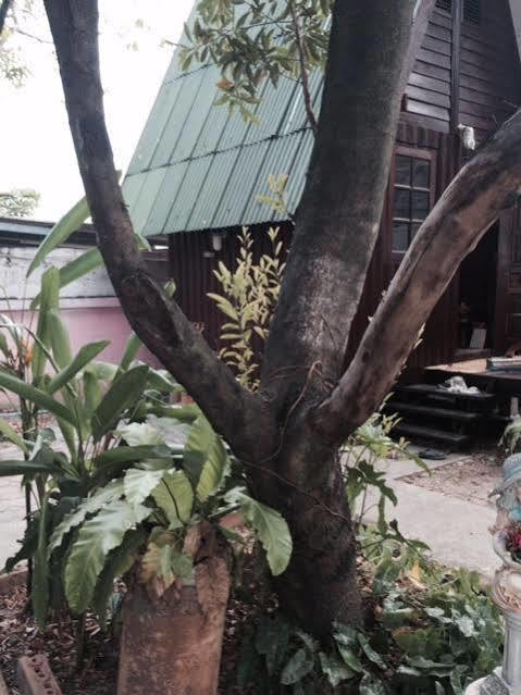 Bnr Resorts Bangkok Ngoại thất bức ảnh